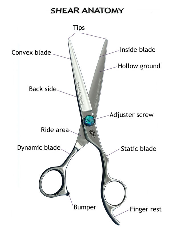 Basic Sharpening Demonstration of a Convex Edge Stylist Scissors